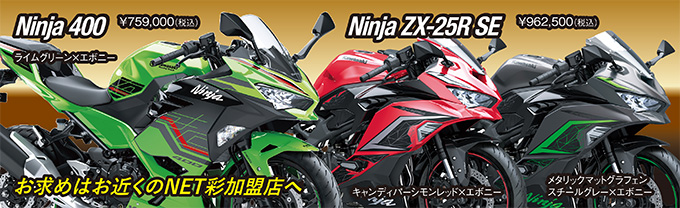 Ninja ZX-25R